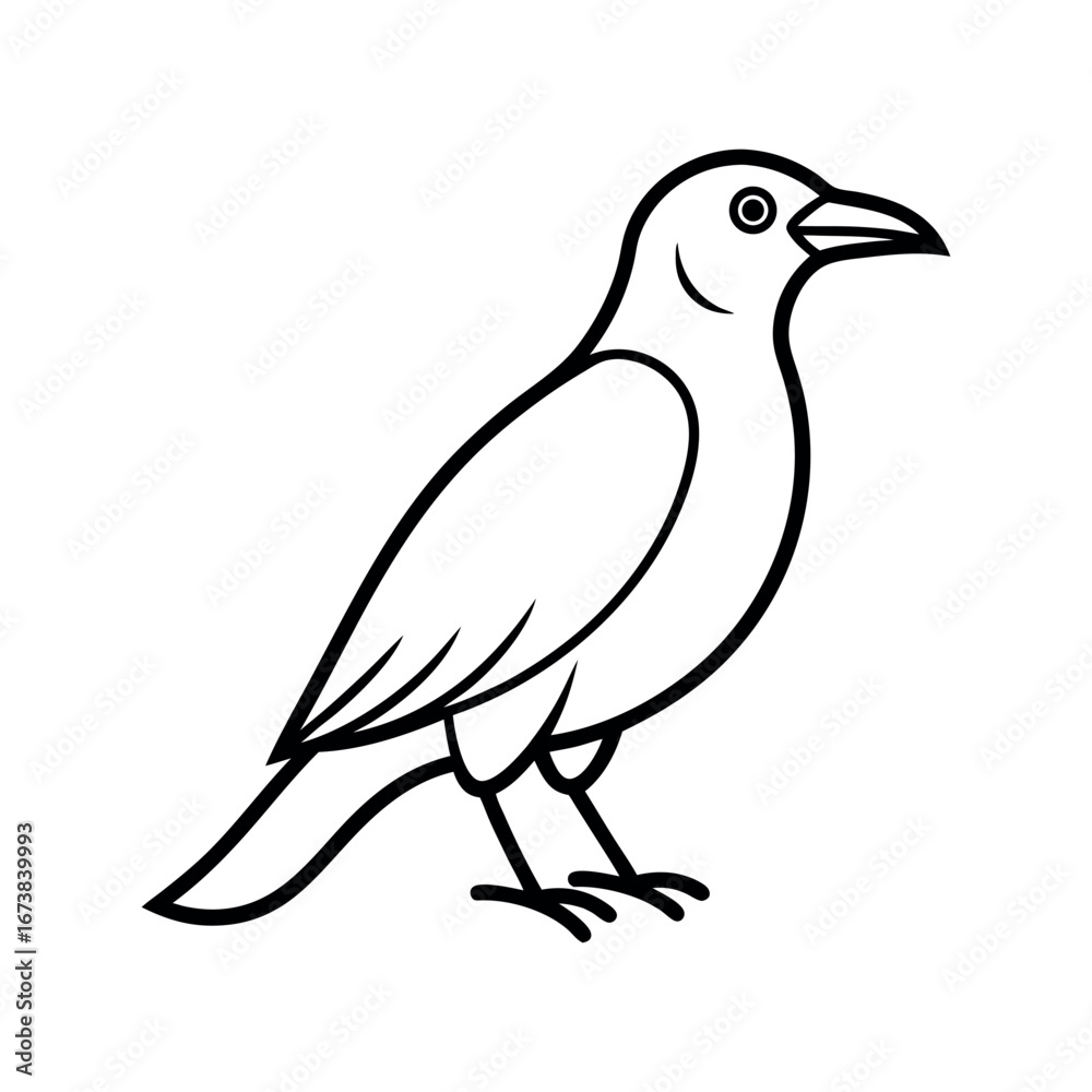 Obraz premium Outline of Crow Side View Silhouette Vector on White