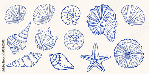 Collection of hand drawn blue line art seashells and starfish on a light background
