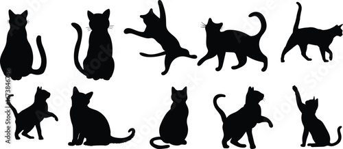 Funny cat icon.Collection of silhouette of funny cats in different poses. Vector illustration isolated on white background. Drawing with children.Halloween damn kittens.Cat is misbehaving and playing