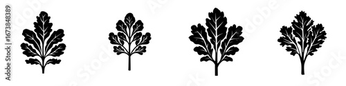 Minimalist black-and-white vector illustration featuring various leaf silhouettes with intricate details