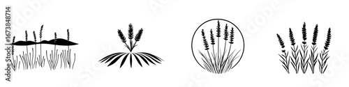 Black-and-white vector illustration of minimalist lavender plant silhouettes in various designs