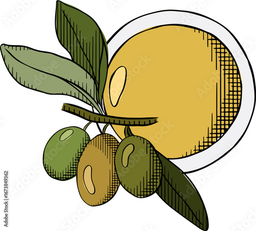 Oil in bowl hand drawn isolated. Olive oil bowl composition. Vector graphic line ink colored illustration. Olive oil, bowl, branch, berries, green leaves extra virgin vegetable salad dressing.