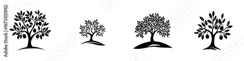 Minimalist black-and-white vector illustrations of olive trees showing different silhouettes on grassy mounds