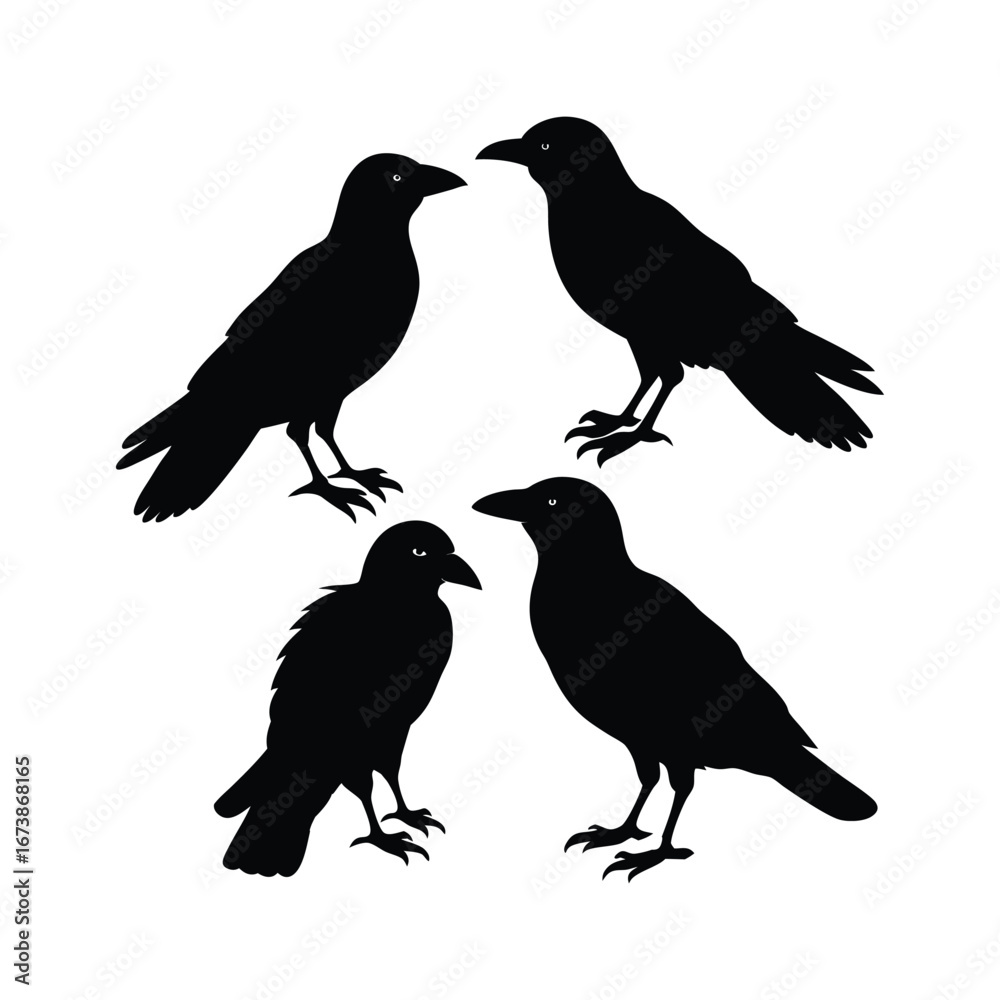 Fototapeta premium Black Crows Silhouette A Set of Four Ravens Vector Illustration for Graphic Design Use
