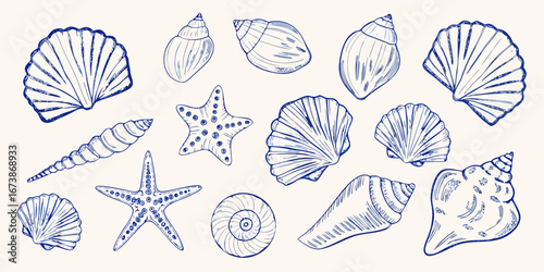 Collection of hand drawn blue line art seashells and starfish on a cream background