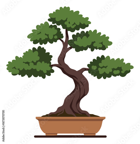 A stylized illustration of a bonsai tree in a brown ceramic pot, isolated on white.