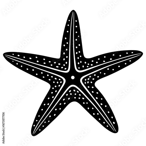 Black and white starfish illustration sea life marine animal ocean aquatic star shape graphic design art