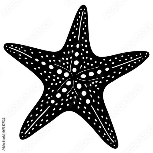Black and white starfish illustration, sea life, ocean animal, marine biology, star shape design