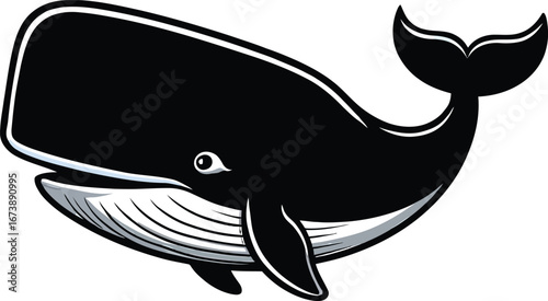 Cute cartoon a illustrator vector sperm whale