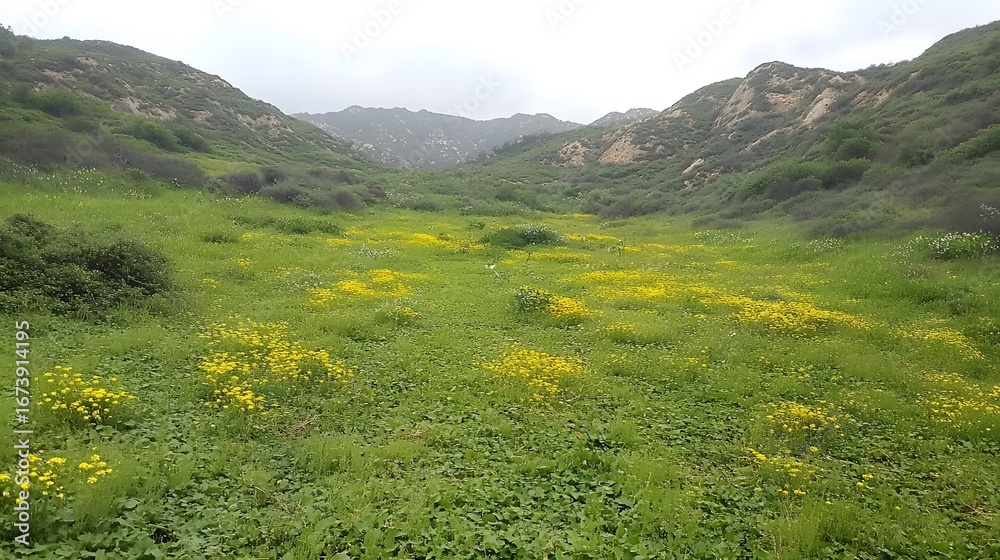 Obraz premium Serene Valley Meadow Wildflowers Spring Landscape