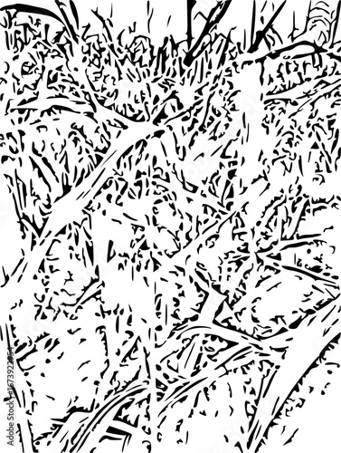 black and white seamless pattern maize crops 