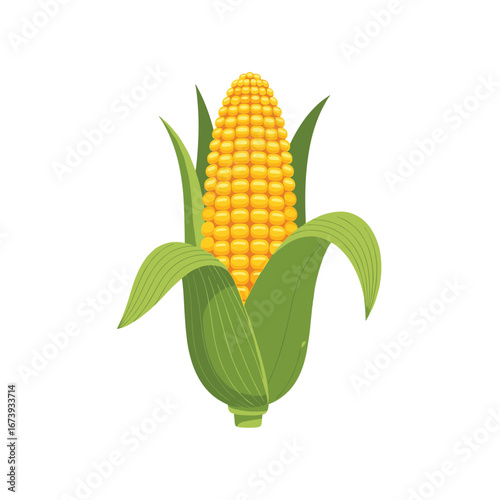 Fresh, ripe corn on the cob with vibrant green husks, perfect for harvest or healthy eating visuals