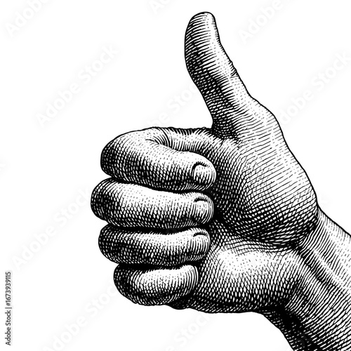 A hand giving a thumbs-up gesture in a detailed engraving style