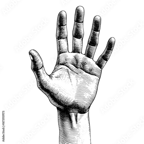 An open hand with spread fingers in a woodcut style
