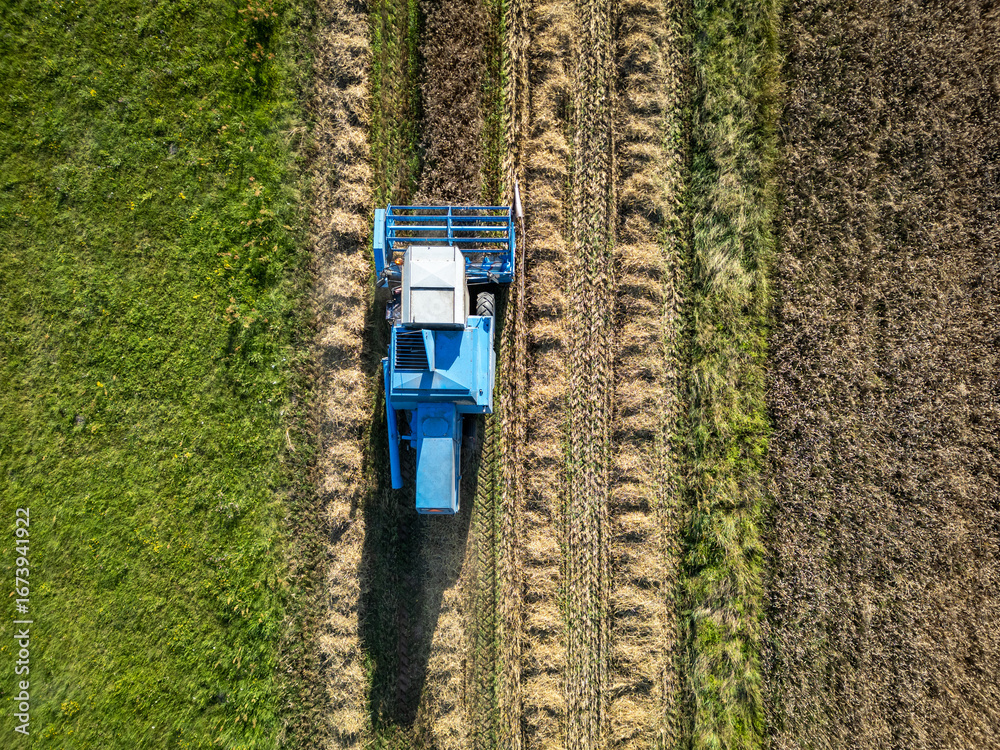 Fototapeta premium Combine harvester during harvest season in Mazowsze region, Poland