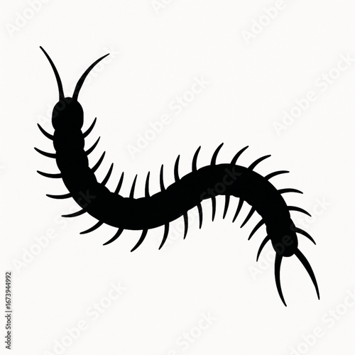 Centipede Millipede Insect Silhouette