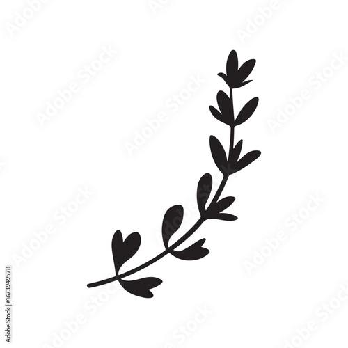 Thyme Herb Branch Silhouette for Botanical and Culinary Designs