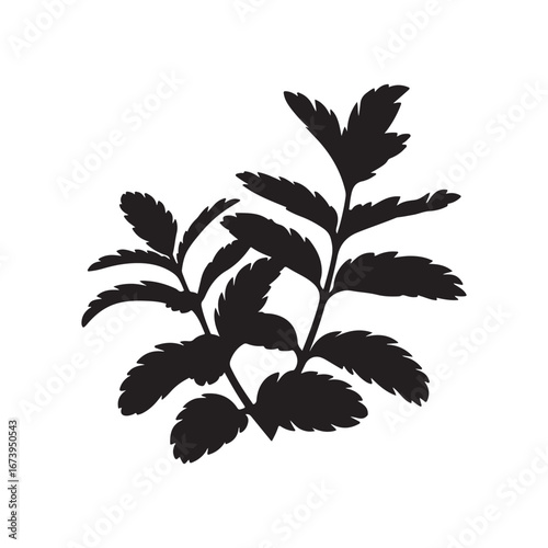 Mint Plant Silhouette Vector Illustration, Perfect for Herbal, Culinary, and Botanical Themes