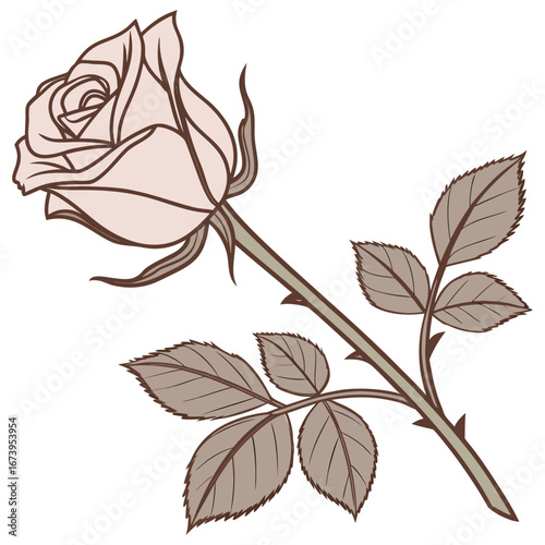 Vector art of elegant rose illustration, featuring delicate petals, a slender stem, and lush leaves, ideal for adding a touch of romance and beauty