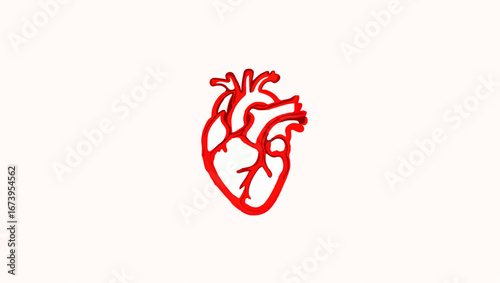 Red anatomical heart with sketch drawing style

