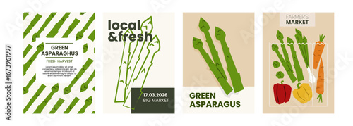 Fresh asparagus illustration. Simple posters with organic vegetable for farmers market advertising. Vector templates with copyspace. Set of harvested salad vegetables in minimal hand drawn style.