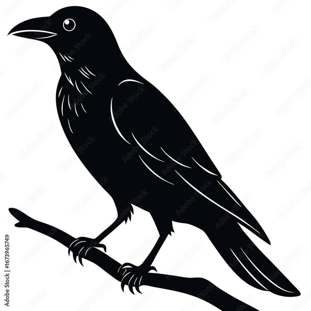 Obraz premium Black crow perched on a branch silhouette bird