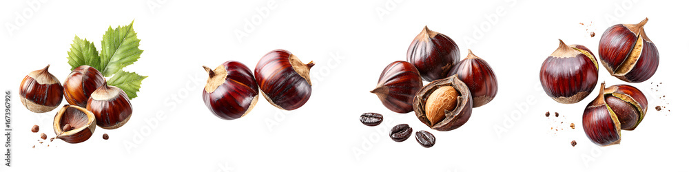 custom made wallpaper toronto digitalSweet Chestnut Set: Watercolor Illustration of Roasted Nuts on White Background