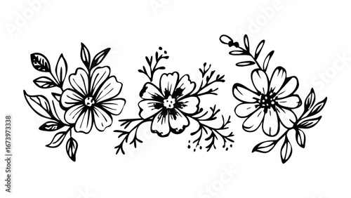 Delicate floral sprigs with leaves botanical doodle