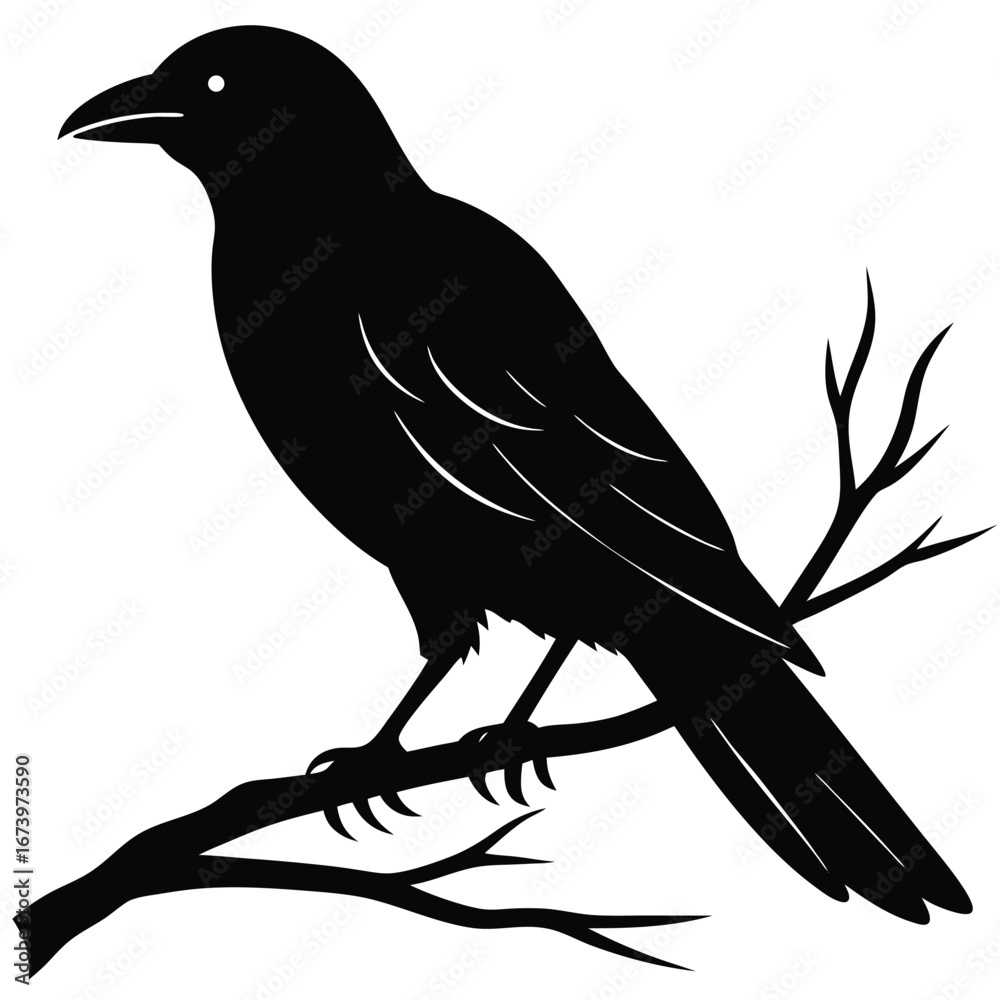 Fototapeta premium Black silhouette of a crow perched on a branch bird 1