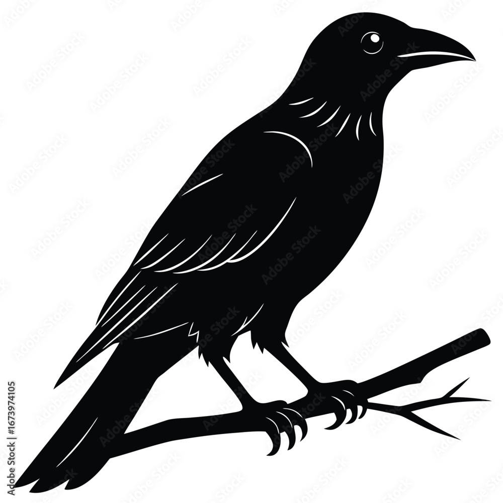 Fototapeta premium Black silhouette of a crow perched on a branch bird