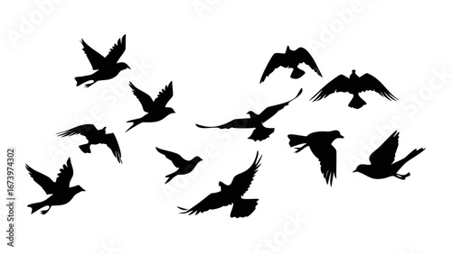 Flock of Birds in Flight flying silhouette