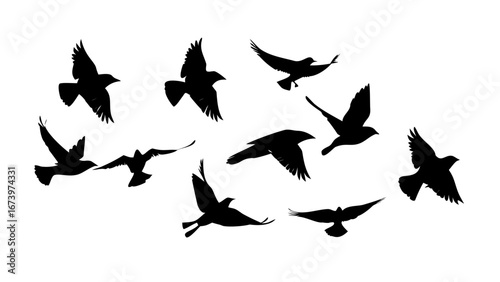 Flock of Birds Silhouettes in Flight flying black