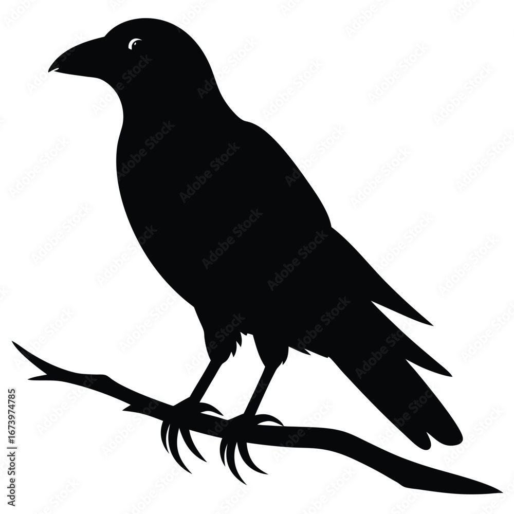 Fototapeta premium Black silhouette of a crow perched on a branch raven