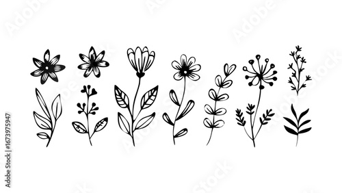 Hand Drawn Floral Elements with Petals and Leaves illustration