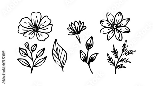 Hand Drawn Ink Flowers and Leaves floral botanical
