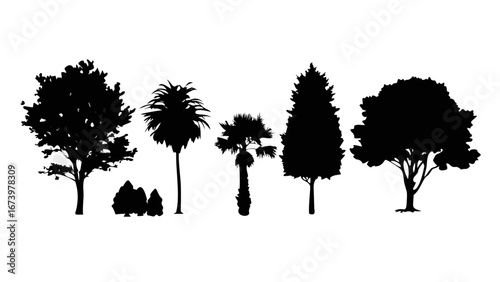 Minimalist trees with scattered leaves silhouette nature