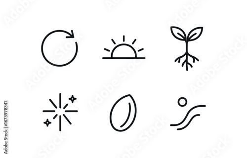simple outline stroke icon isolated on white background: origin sun rise root sprout first spark seed icon flow start