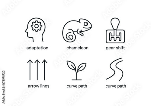 simple outline stroke icon isolated on white background: adaptation chameleon icon gear shift arrow lines leaf sprout curve path