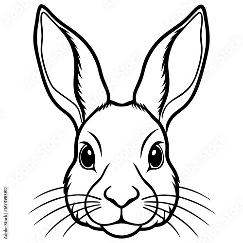 Rabbit Head Vector