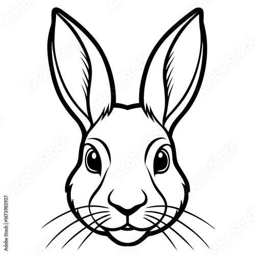 Rabbit Head Vector