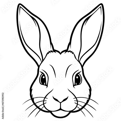 Rabbit Head Vector