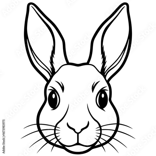 Rabbit Head Vector