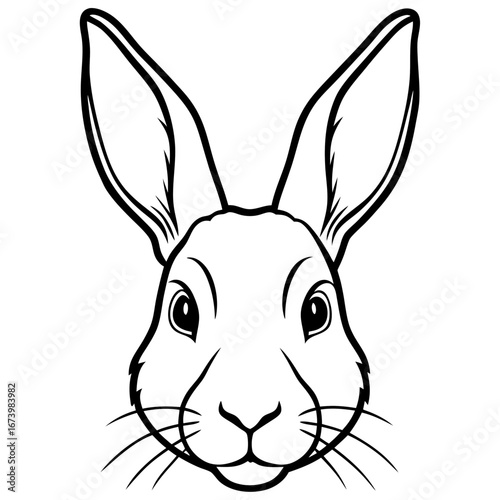 Rabbit Head Vector