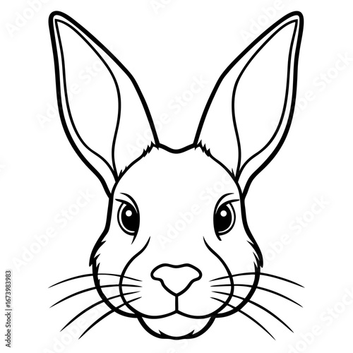 Rabbit Head Vector