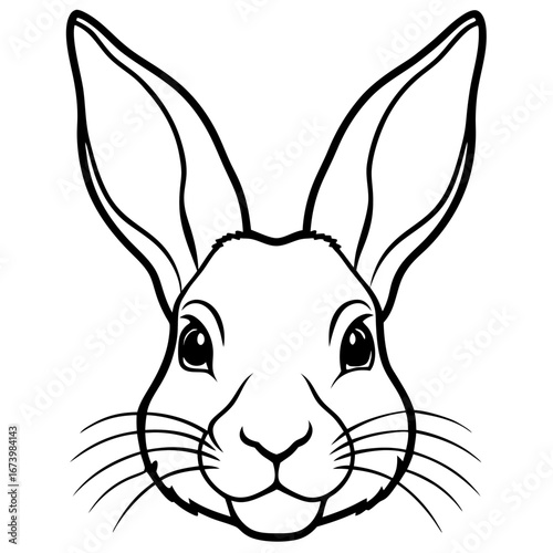 Rabbit Head Vector