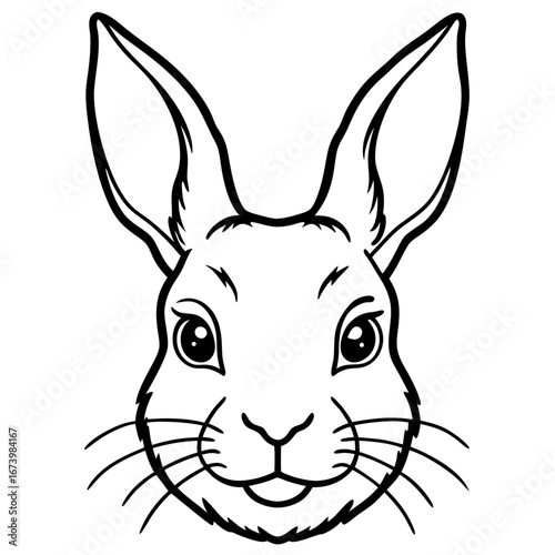Rabbit Head Vector