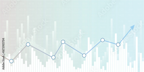 Financial Statement Data Analysis Report