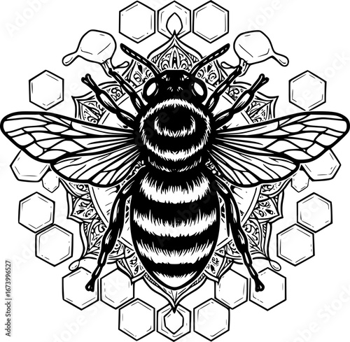 Bee Insect Silhouette on White Background vector illustration
