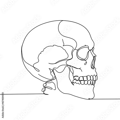 Unbroken Line, Silent Skull