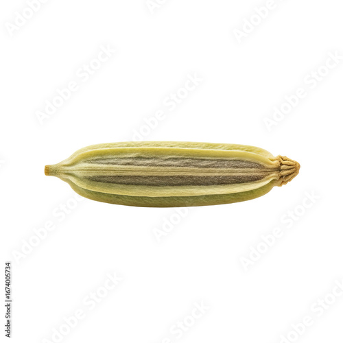 Wallpaper Mural Fennel seed lies horizontally against a isolated background showing its longitudinal texture and form. Torontodigital.ca